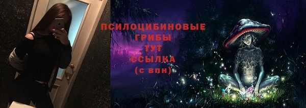 сатива Беломорск