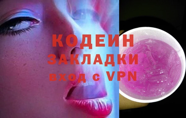 сатива Беломорск