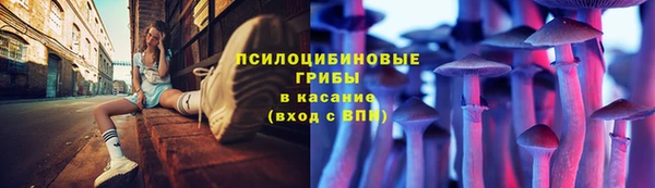 экстази Белокуриха