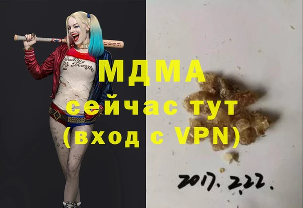 сатива Беломорск