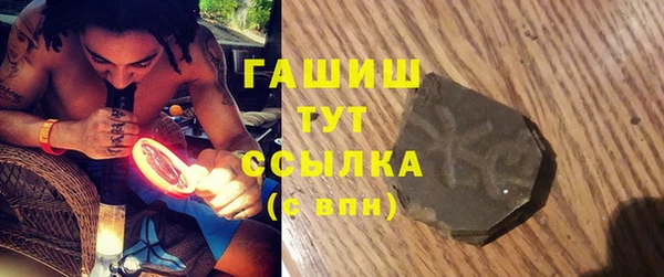сатива Беломорск