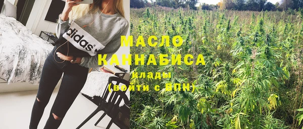 сатива Беломорск