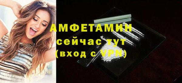 сатива Беломорск