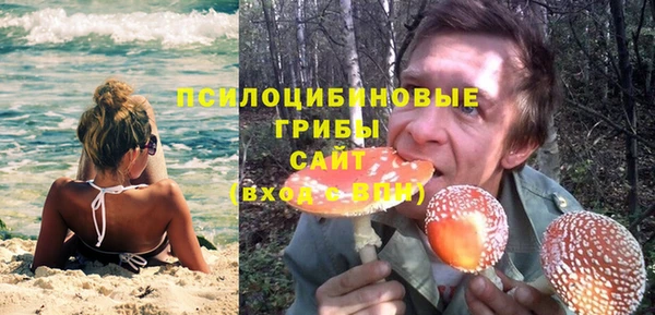 сатива Беломорск