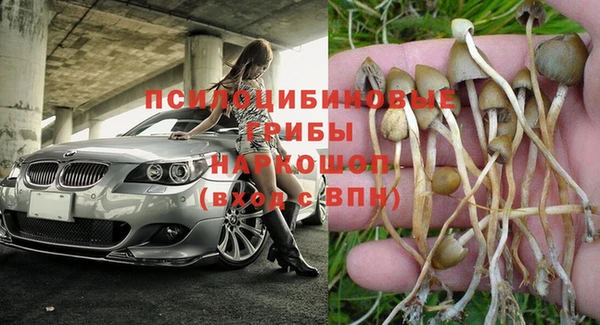 спиды Белоозёрский