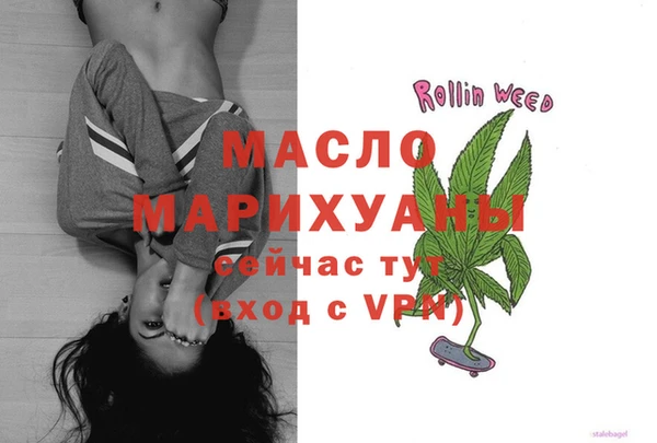 сатива Беломорск