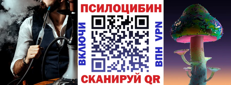 Псилоцибиновые грибы прущие грибы  Пионерский 